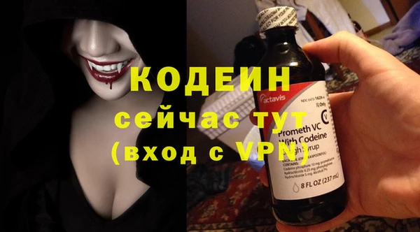 твердый Богданович