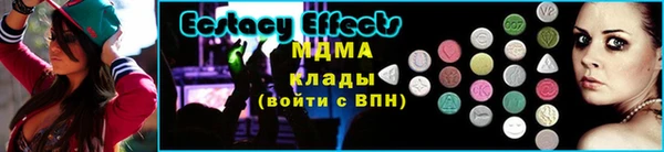 твердый Богданович