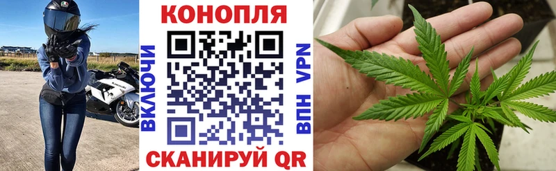 Бошки марихуана VHQ  где найти наркотики  Красный Кут 